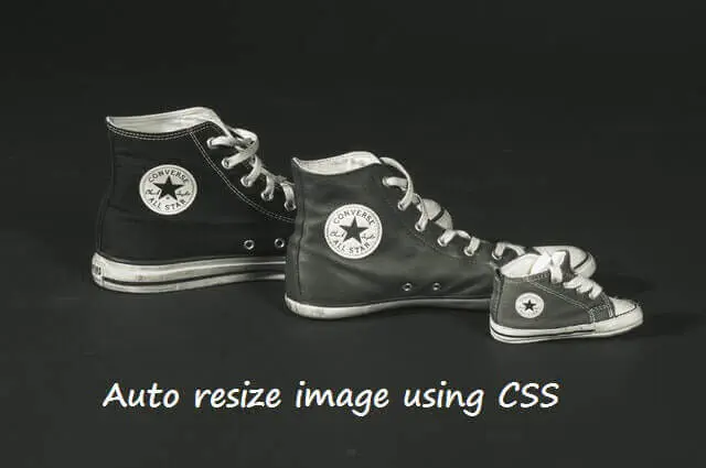 Auto resize image using css