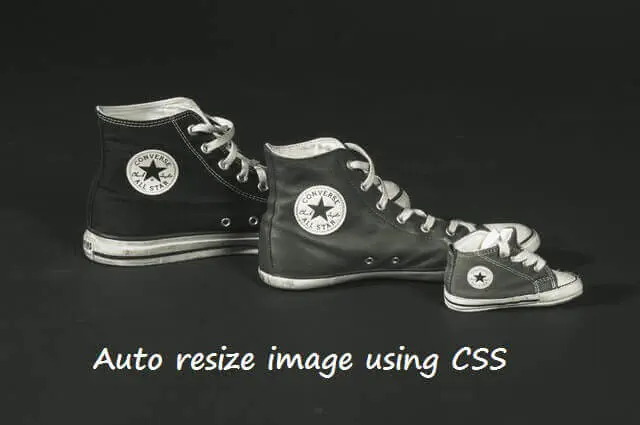Auto resize image using css Auto resize image using css